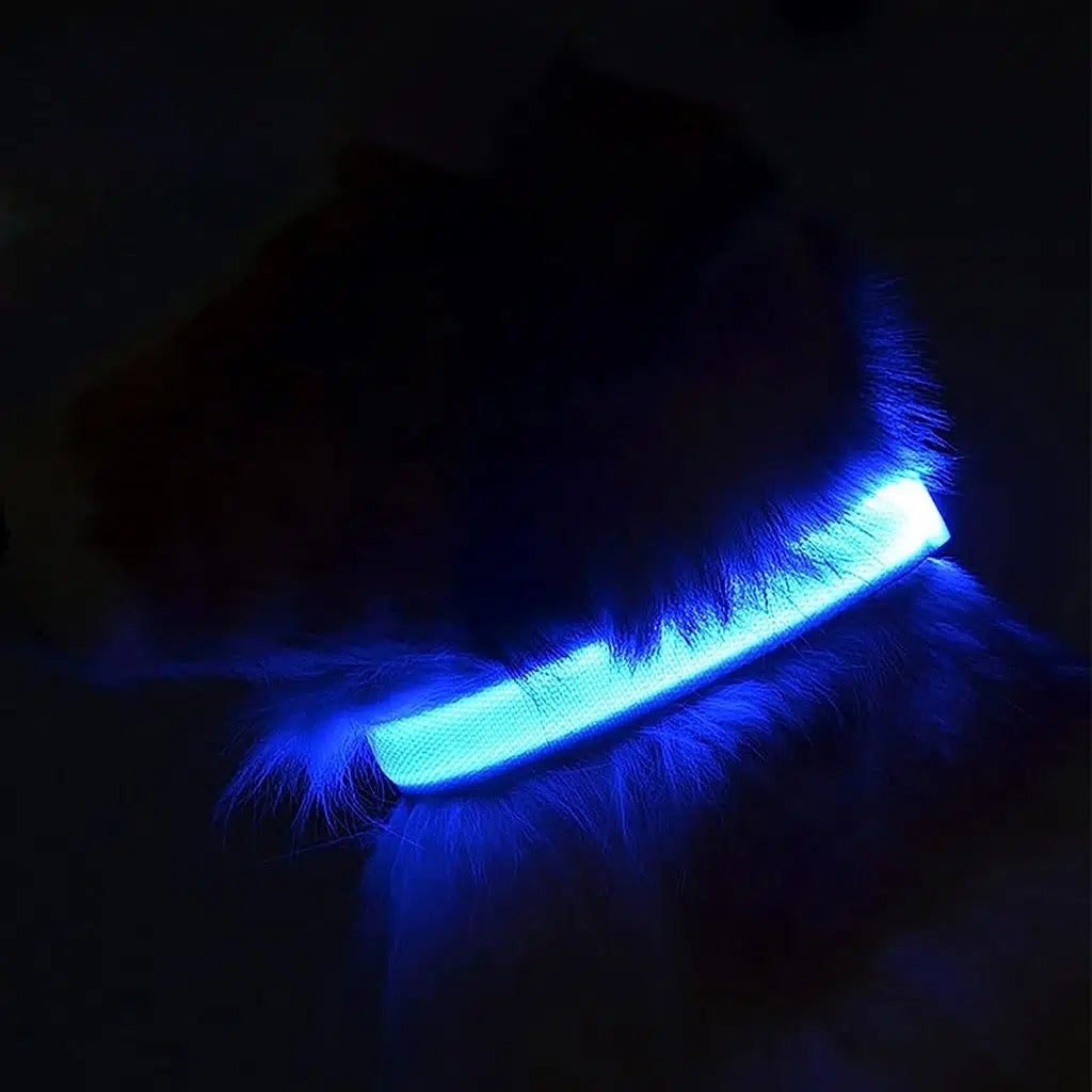 Led Tasma - Kedi ve köpekler için.