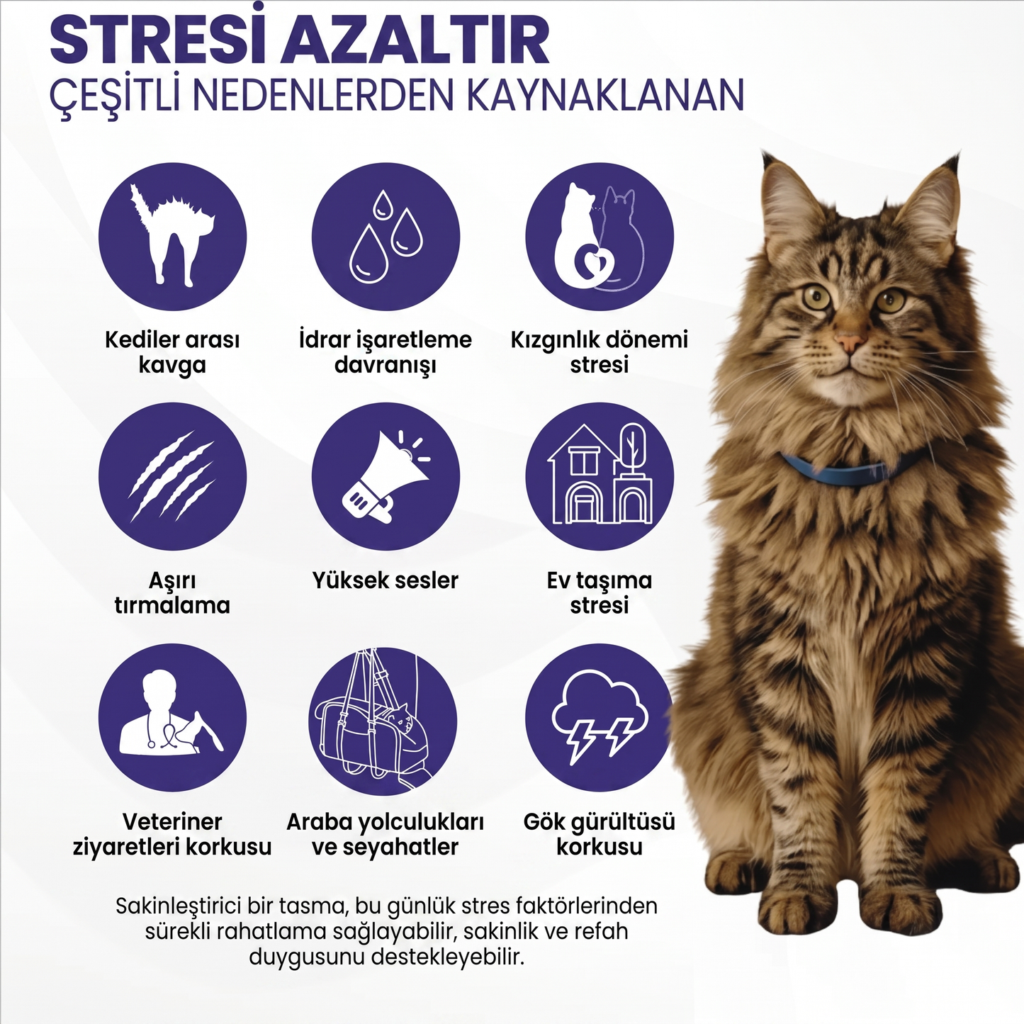 Kedi Sakinleştirici Tasma