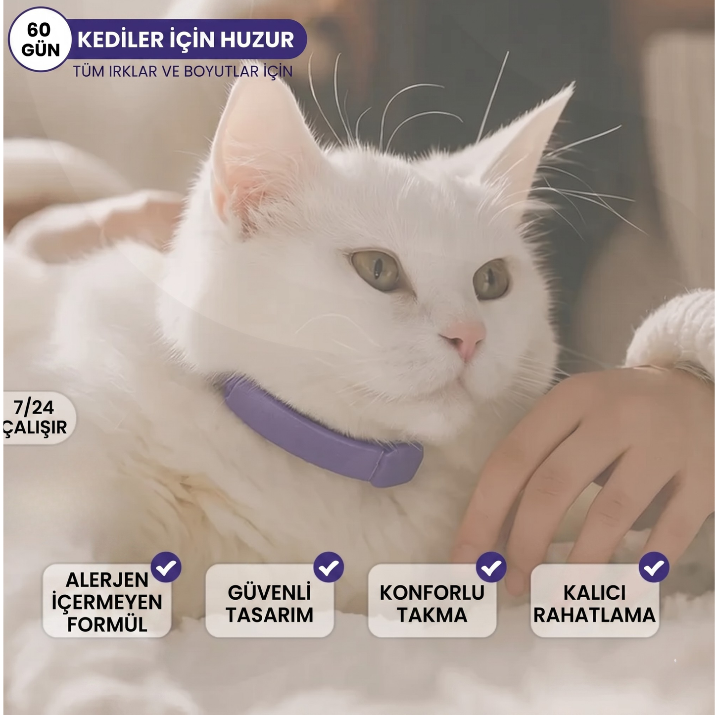 Kedi Sakinleştirici Tasma