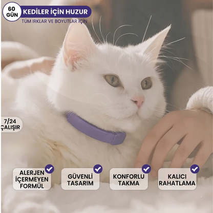 Kedi Sakinleştirici Tasma