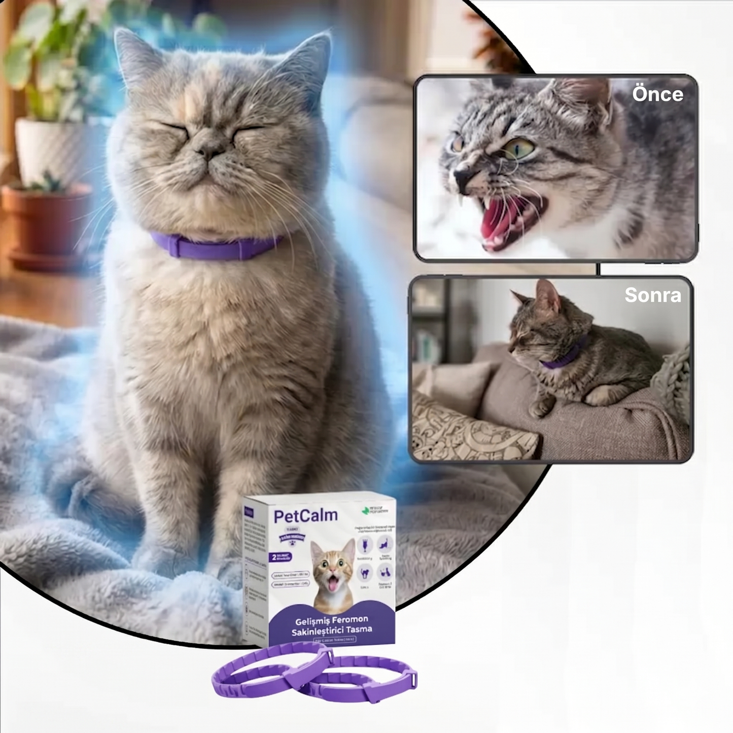 Kedi Sakinleştirici Tasma