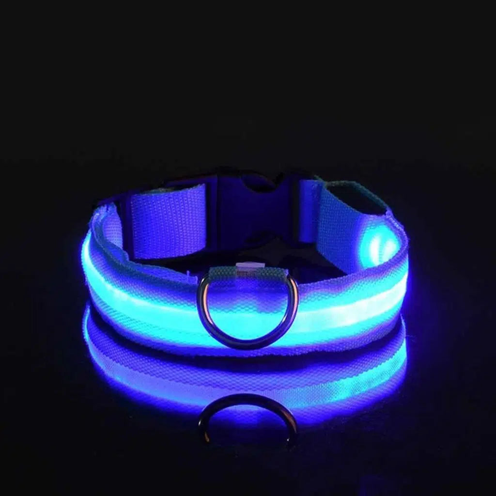 Led Tasma - Kedi ve köpekler için.