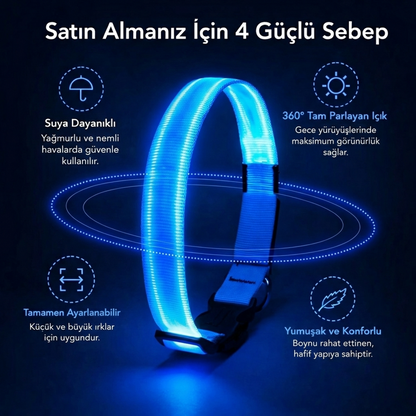 Led Tasma - Kedi ve köpekler için.