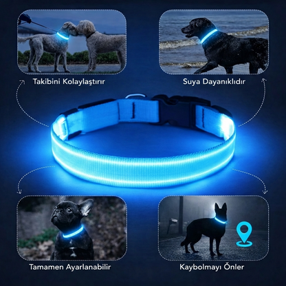 Led Tasma - Kedi ve köpekler için.
